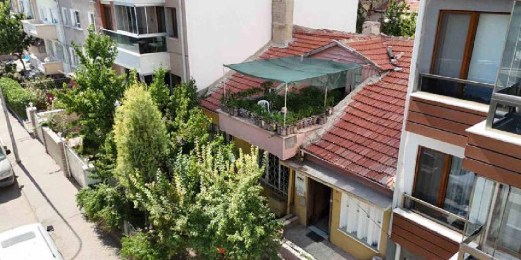 18 metrekarede mucize yarattı! Şehrin göbeğinde tarım: Terasını tam 200 fide süslüyor 4